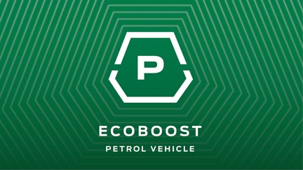 ecoboost petrol