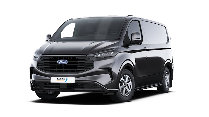 ford limited trim van